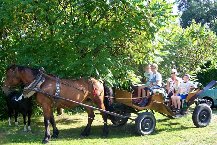 AGROTURYSTYKA „NAD TABOREM”